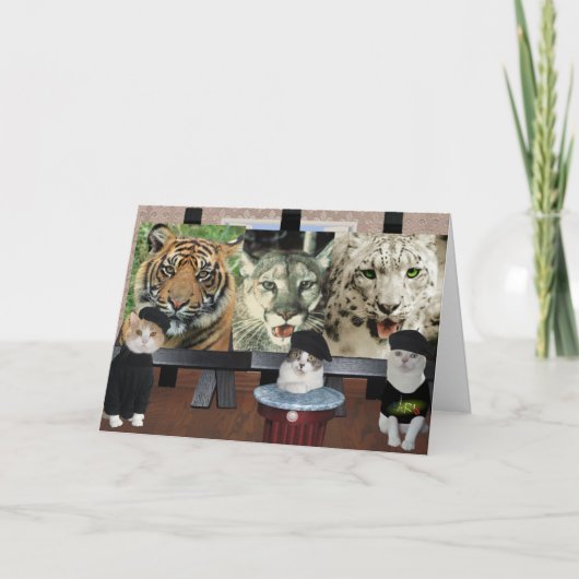 Funny Cat/Katten Artiesten Aanmoediging Kaart (Voorkant)