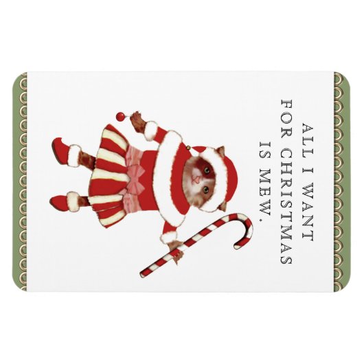 Funny Cat-kerstkaarten Magneet (Horizontaal)