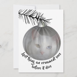 Funny Cat Kerstmis Afgelopen Ding Bauble Sees card Kaart