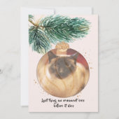 Funny Cat Kerstmis Afgelopen ding Bauble ziet Kaar Kaart (Voorkant)