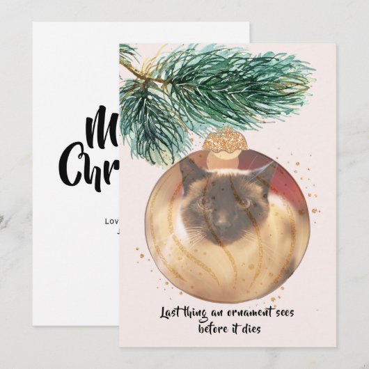 Funny Cat Kerstmis Afgelopen ding Bauble ziet Kaar Kaart (Voorkant / Achterkant)