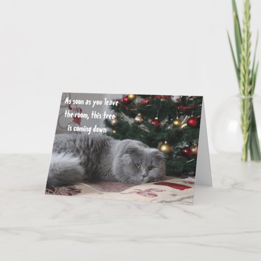 Funny Cat Kerstmis Angry Greeting Feestdagen Kaart (Voorkant)