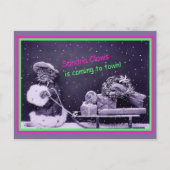 Funny Cat Kerstmis Briefkaart (Voorkant)