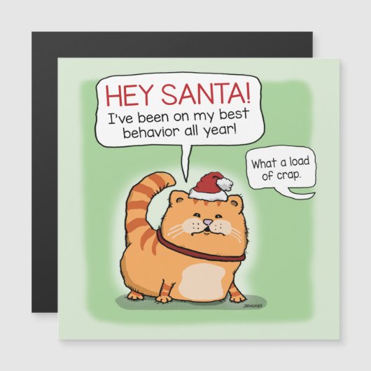 Funny Cat Lies voor Kerstmis (Voorkant / Achterkant)