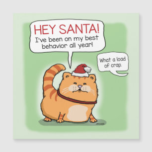 Funny Cat Lies voor Kerstmis