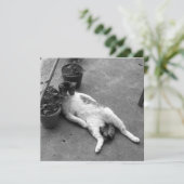 Funny Cat Lounging Black and White Kaart (Staand voorkant)