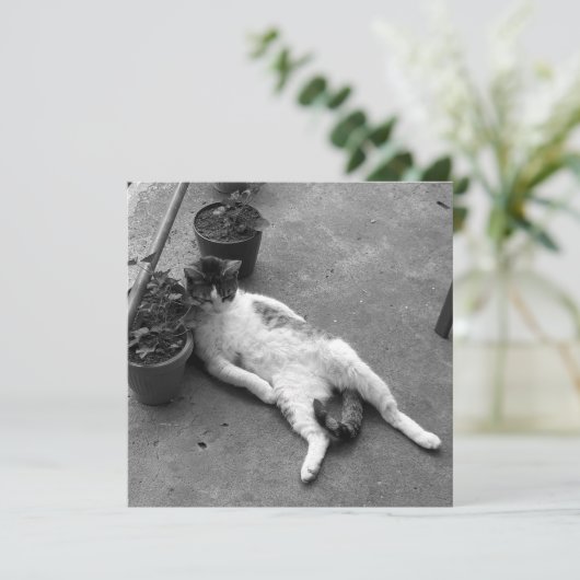 Funny Cat Lounging Black and White Kaart (Staand voorkant)