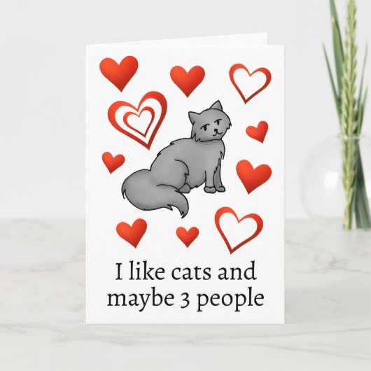 Funny Cat Lover Happy Valentines Day Greeting Kaart (Voorkant)