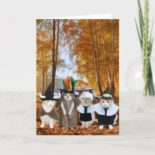 Funny Cat Lover Thanksgiving Card Feestdagen Kaart