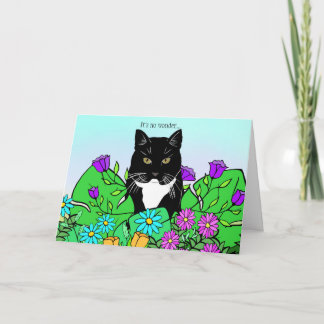 Funny Cat Lover Verjaardag Kaart