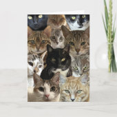 Funny Cat Lover Verjaardag Kaart (Voorkant)