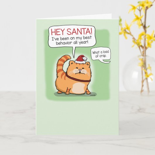 Funny Cat Lying to Santa Claus Kerstmis Kaart (Gele Bloem)