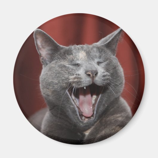 Funny cat magneet (Voorkant)