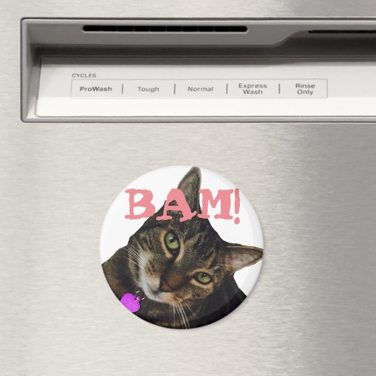 Funny Cat Magnet (Insitu (Vaatwasser))