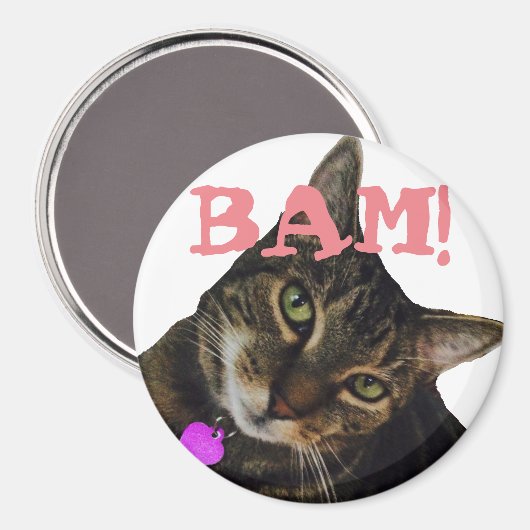 Funny Cat Magnet (Voorkant / Achterkant)