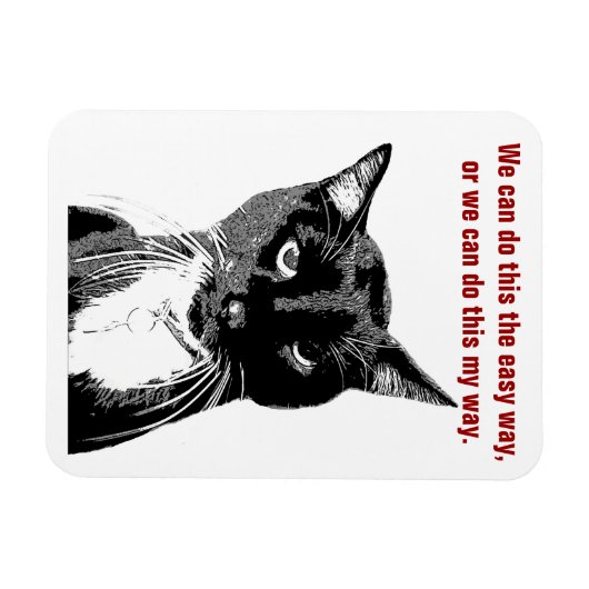 Funny Cat Magnet Magneet (Horizontaal)