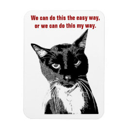 Funny Cat Magnet Magneet