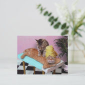 Funny Cat Massage Briefkaart (Staand voorkant)