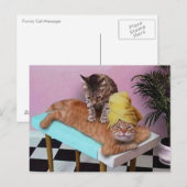 Funny Cat Massage Briefkaart (Voorkant / Achterkant)