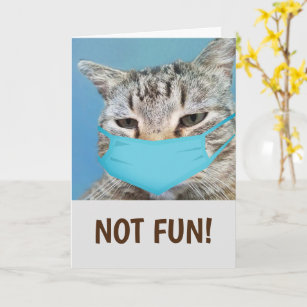 Funny Cat Medical krijgt het goed Kaart