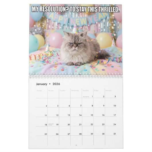Funny Cat Meme Calendar 2026 Kalender (Jan 2026)