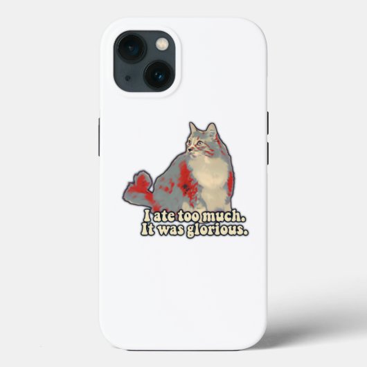 Funny cat meme for kitten lovers and owners Case-Mate iPhone case (Achterkant)