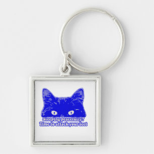 Funny cat meme for kitten owners and lovers sleutelhanger