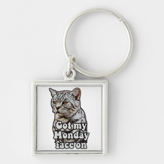 Funny cat meme for kitty owners and cat lovers sleutelhanger (Voorkant)