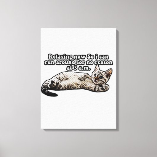 Funny cat meme for kitty persons and cat owners canvas afdruk (Voorkant)