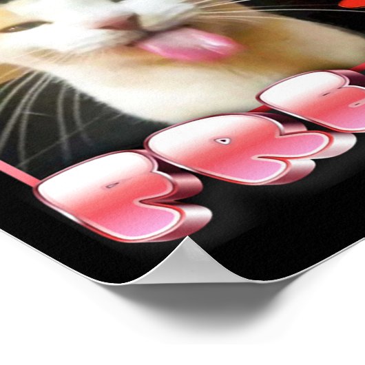 Funny Cat Meme - Gecertificeerde Freak Funny Cat M Poster (Hoek)