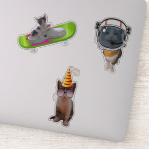 Funny Cat Memes Sticker