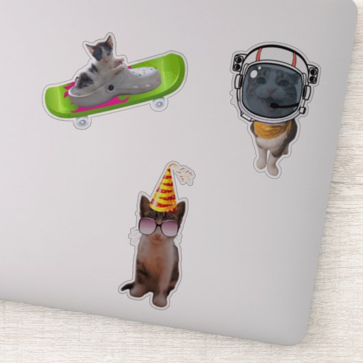 Funny Cat Memes Sticker (Detail)