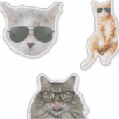 Funny Cat Memes Sticker (Voorkant)