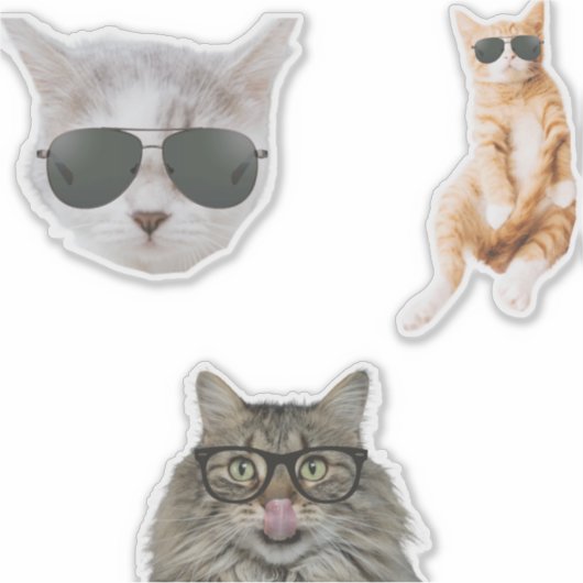 Funny Cat Memes Sticker (Voorkant)