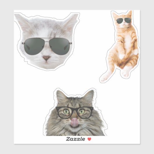 Funny Cat Memes Sticker (Vel)