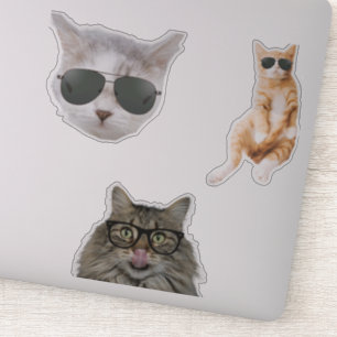 Funny Cat Memes Sticker