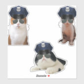 Funny Cat Memes Sticker (Vel)