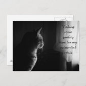 Funny Cat met bestaande crisis Briefkaart (Voorkant / Achterkant)