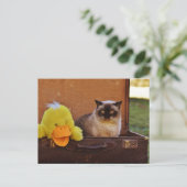 Funny Cat met een eikel in de koffer Briefkaart (Staand voorkant)