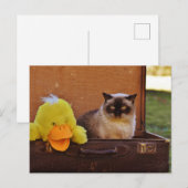Funny Cat met een eikel in de koffer Briefkaart (Voorkant / Achterkant)