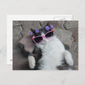 Funny cat met roze bril briefkaart (Voorkant / Achterkant)
