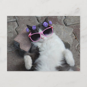 Funny cat met roze bril briefkaart