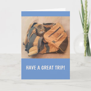 Funny Cat Miss U Kaart