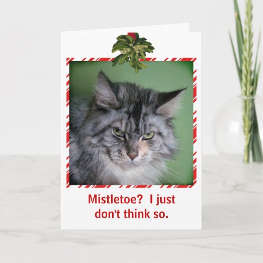 Funny Cat Mistletoe Christmas wenskaart Feestdagen Kaart (Voorkant)
