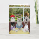 Funny Cat Moederdag of Birthday Kaart<br><div class="desc">Grappig Moederdag of verjaardagskaart.  U kunt de tekst aanpassen door het lettertype,  de tekengrootte en de kleur te selecteren.  De achtergrond en de kleine kat rechts onderaan zijn openbaar domein.</div>