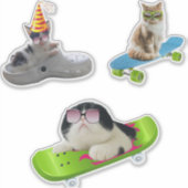 Funny Cat on Skateboard Sticker (Voorkant)