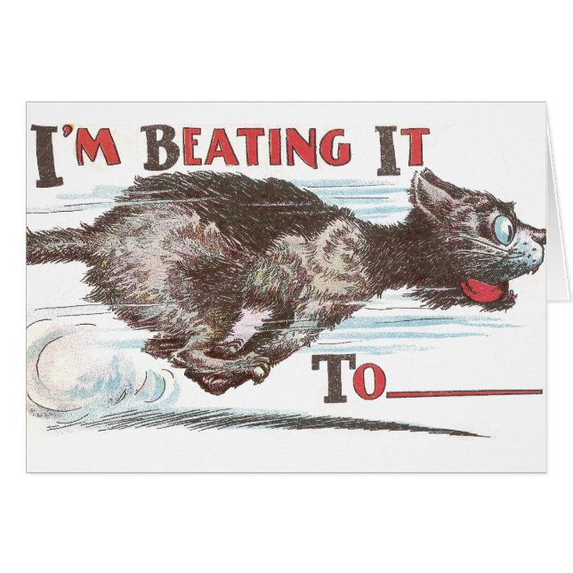 Funny Cat op de vlucht (Voorkant Horizontaal)