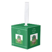 Funny Cat op St. Patrick's Day Decoratie (Voorkant hoekig)
