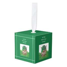 Funny Cat op St. Patrick's Day Decoratie