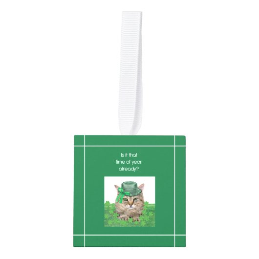 Funny Cat op St. Patrick's Day Decoratie (Voorkant)